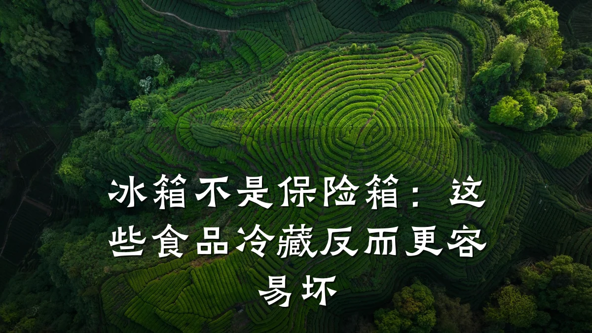 冰箱不是保险箱：这些食品冷藏反而更容易坏