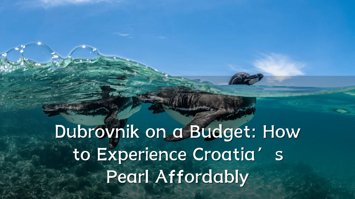 Dubrovnik on a Budget: How to Experience Croatia’s Pearl Affordably