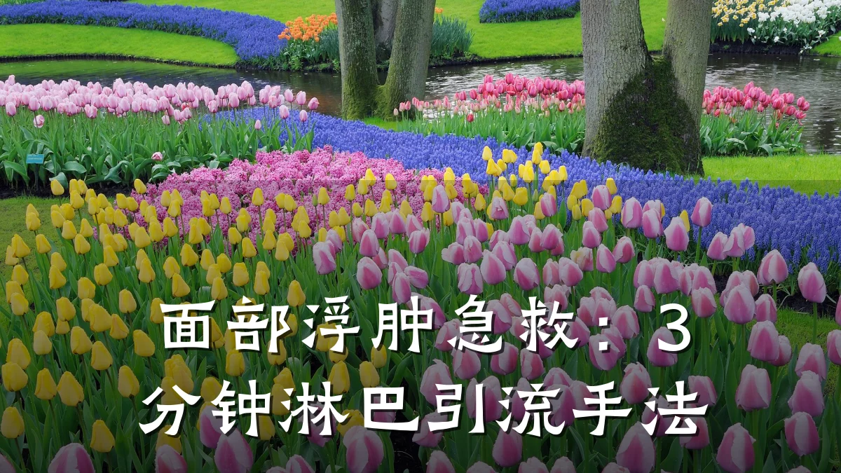 面部浮肿急救:3分钟淋巴引流手法