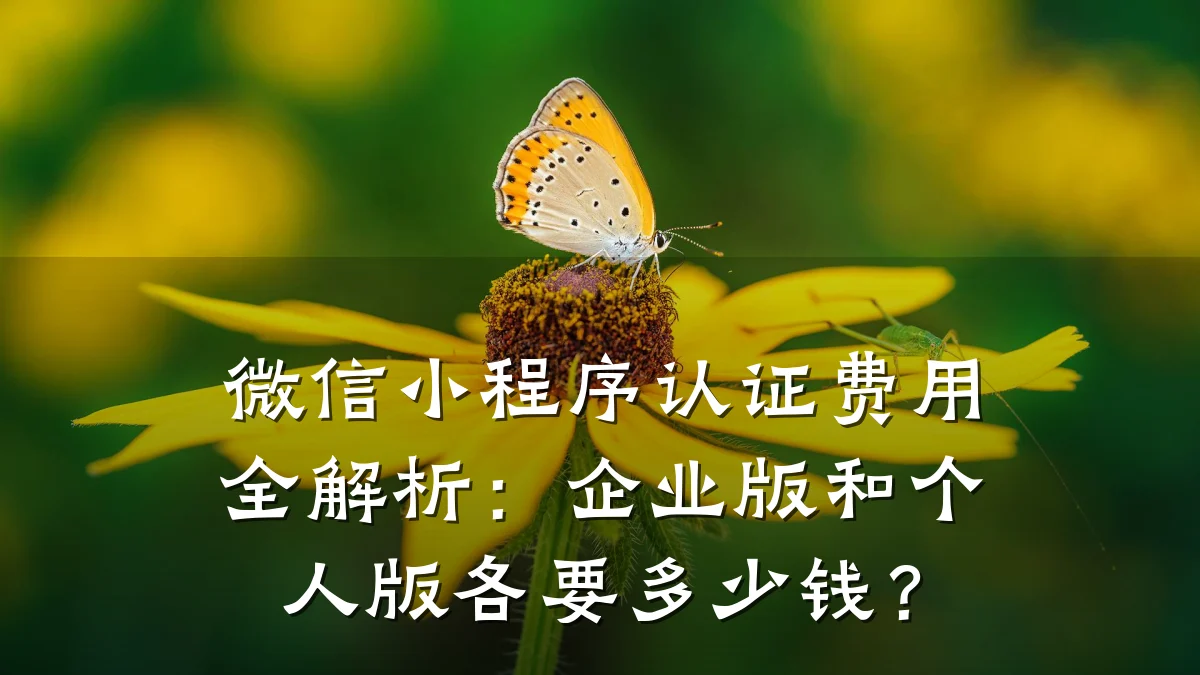 微信小程序认证费用全解析:企业版和个人版各要多少钱?