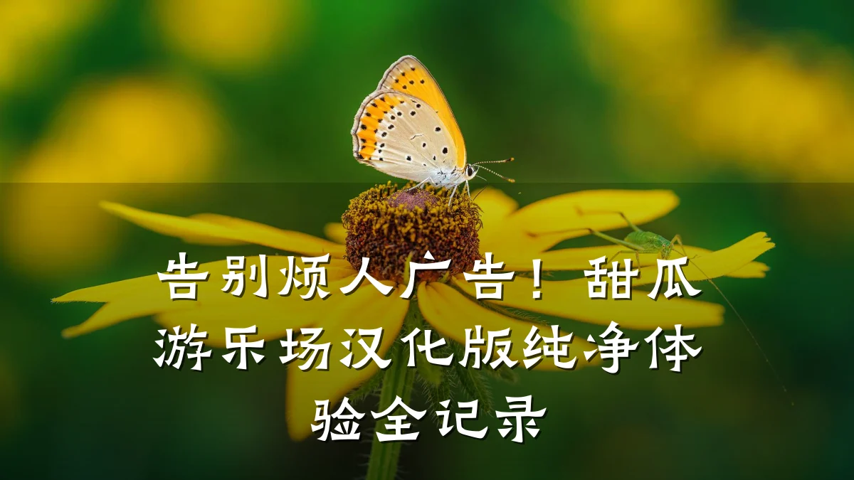 告别烦人广告!甜瓜游乐场汉化版纯净体验全记录