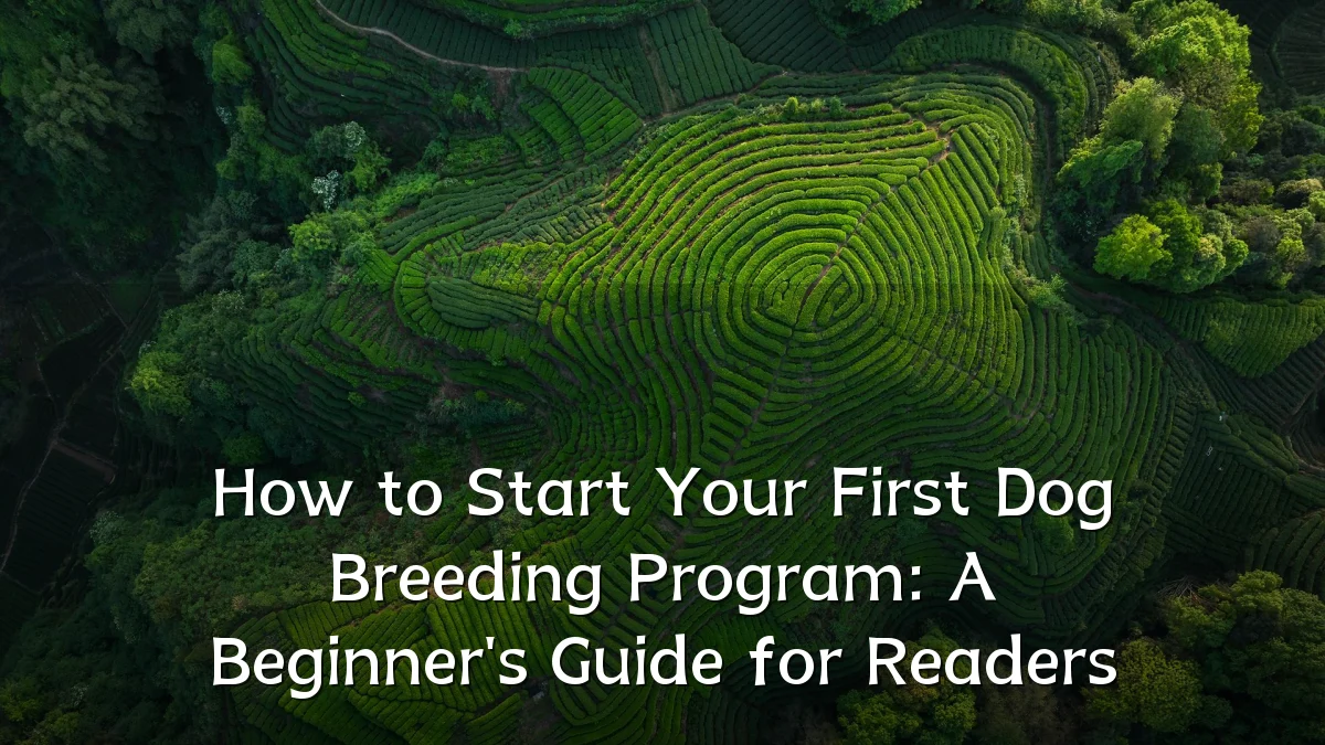 How to Start Your First Dog Breeding Program: A Beginner's Guide for Readers