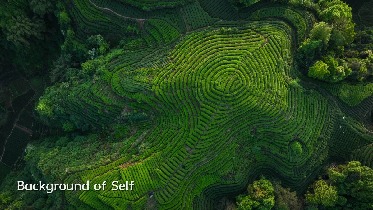Background of Self