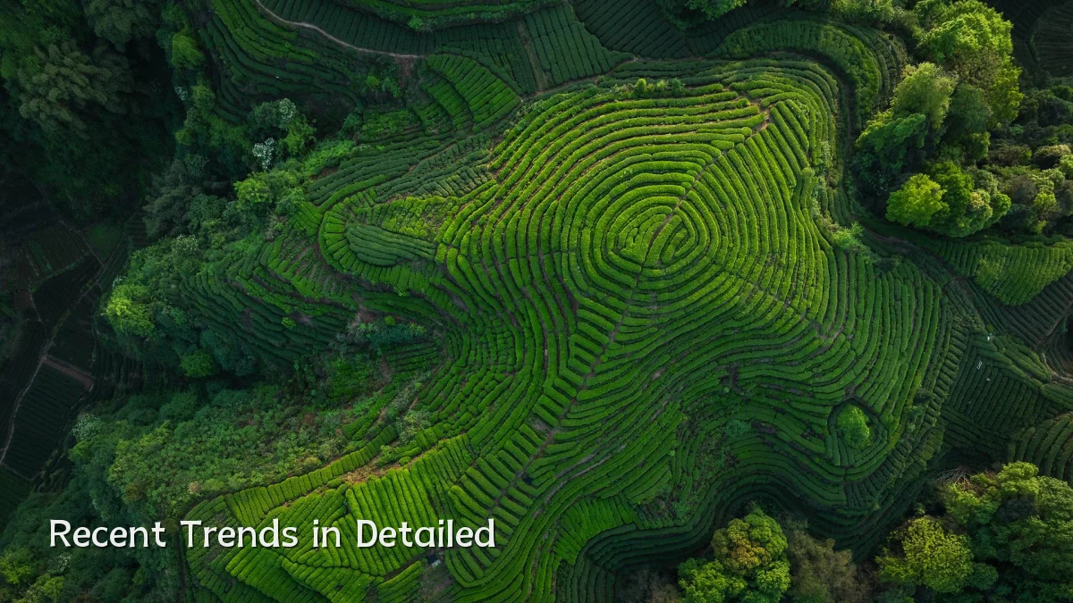 Recent Trends in Detailed