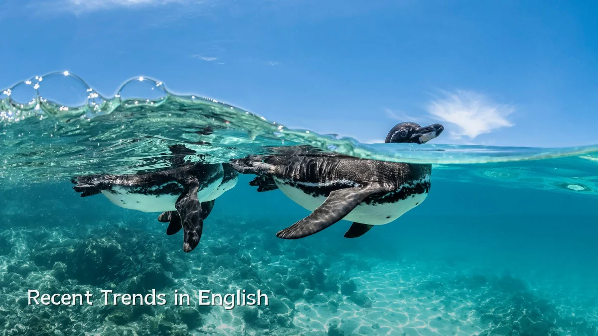 Recent Trends in English
