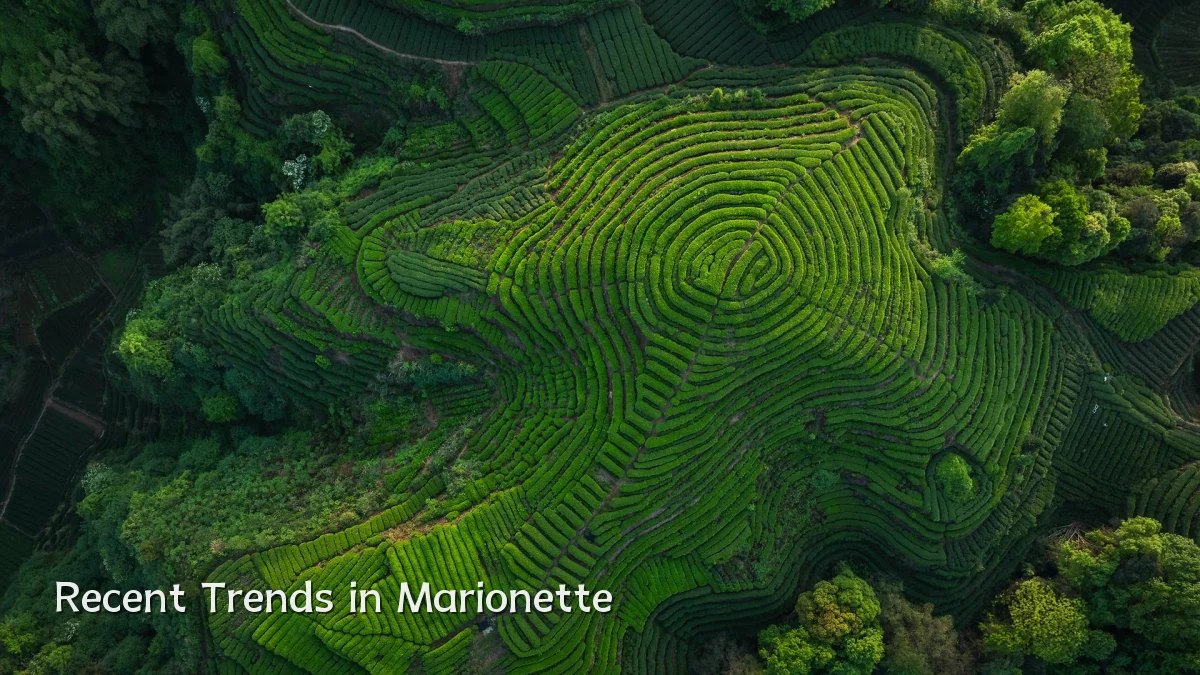 Recent Trends in Marionette