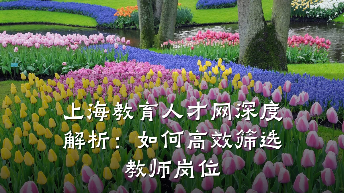 上海教育人才网深度解析：如何高效筛选教师岗位