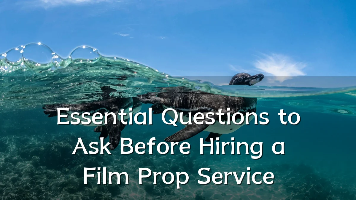 Essential Questions to Ask Before Hiring a Film Prop Service
