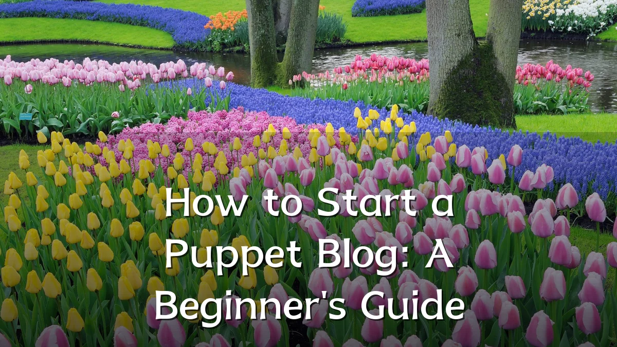 How to Start a Puppet Blog: A Beginner's Guide