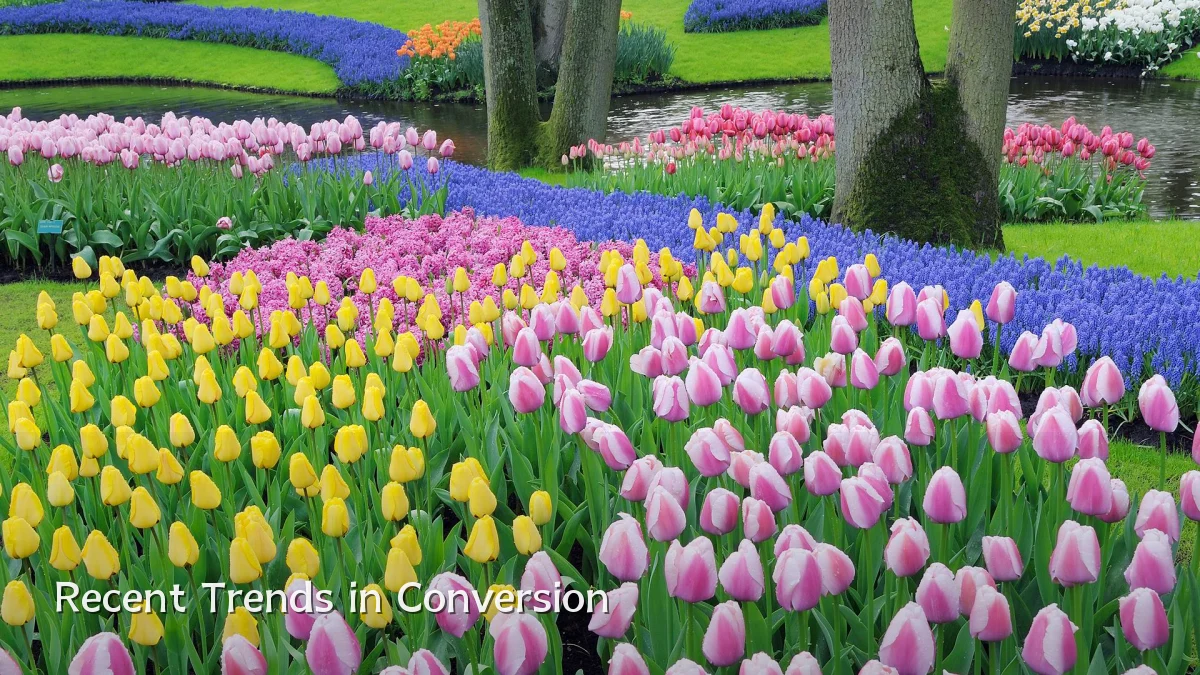 Recent Trends in Conversion