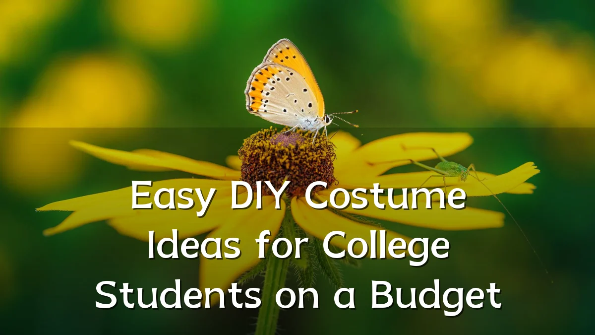 Easy DIY Costume Ideas for College Students on a Budget