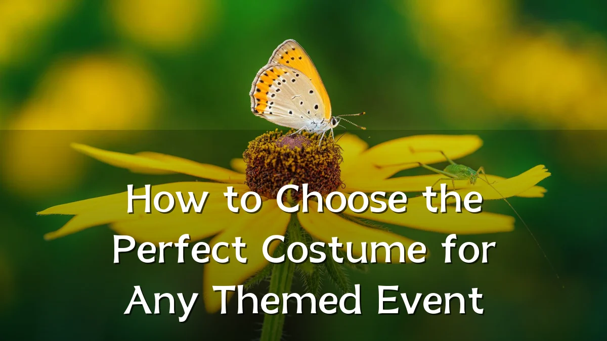 How to Choose the Perfect Costume for Any Themed Event