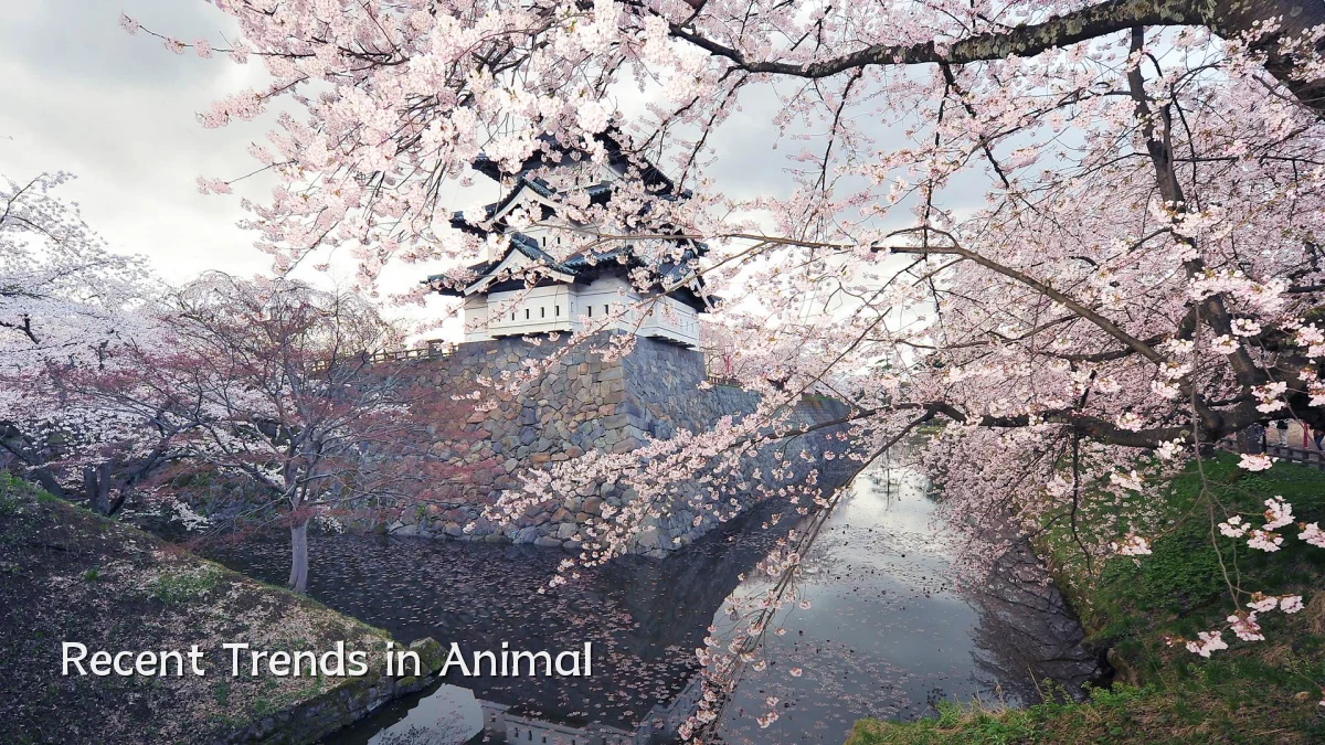 Recent Trends in Animal