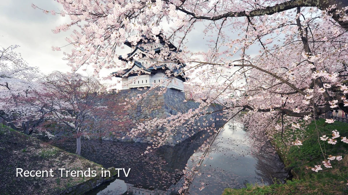 Recent Trends in TV