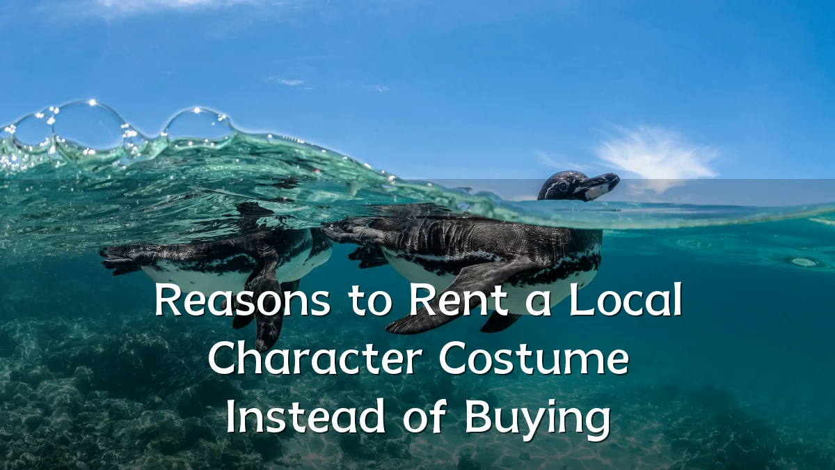Reasons to Rent a Local Character Costume Instead of Buying