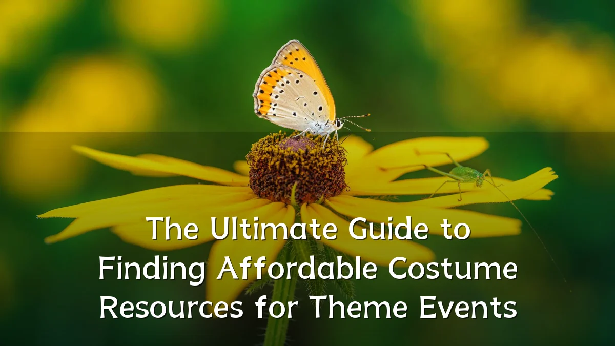 The Ultimate Guide to Finding Affordable Costume Resources for Theme Events