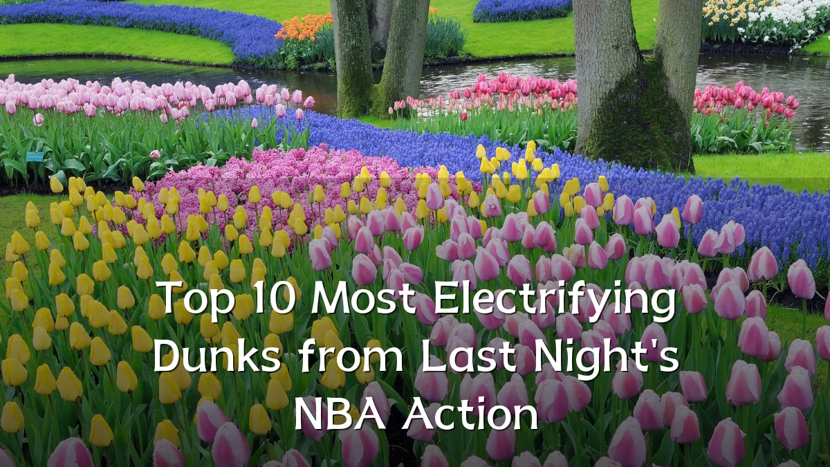 Top 10 Most Electrifying Dunks from Last Night's NBA Action