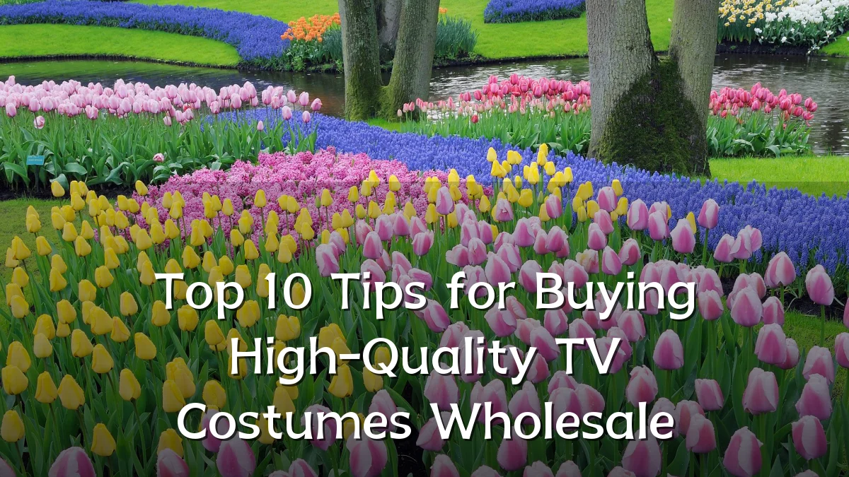 Top 10 Tips for Buying High-Quality TV Costumes Wholesale