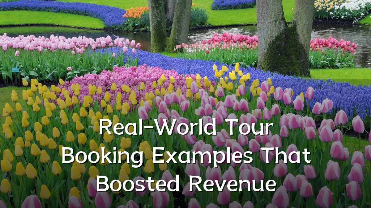Real-World Tour Booking Examples That Boosted Revenue