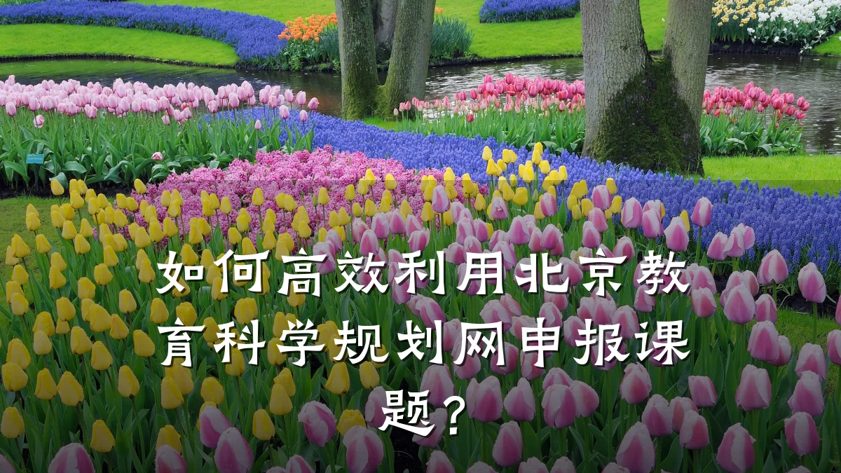 如何高效利用北京教育科学规划网申报课题？